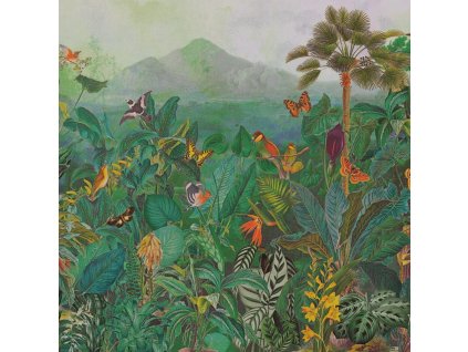 birds of paradise tapety etnic designeroom