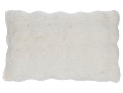 KF186000 1