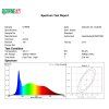 spectrum of 019038