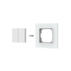 PF1(G) (b)
