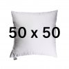 50 x 50