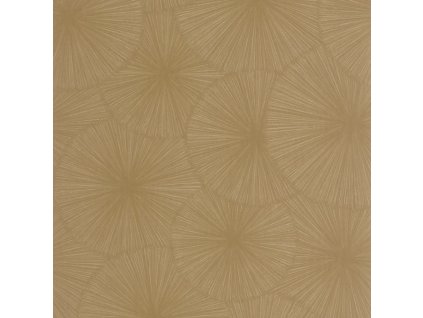 Tapeta se strukturou Helios CASADECO Hnědá