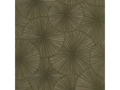 Tapeta se strukturou Helios CASADECO Khaki