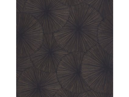 Tapeta se strukturou Helios CASADECO Inkoustová