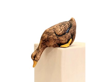 HUSA divoká ležící (více variant)