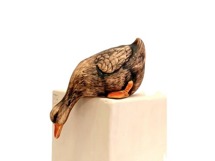 HUSA divoká ležící (více variant)