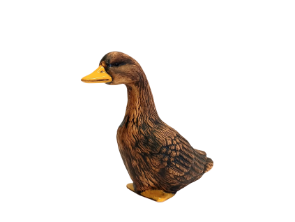 Návrh bez názvu (1)