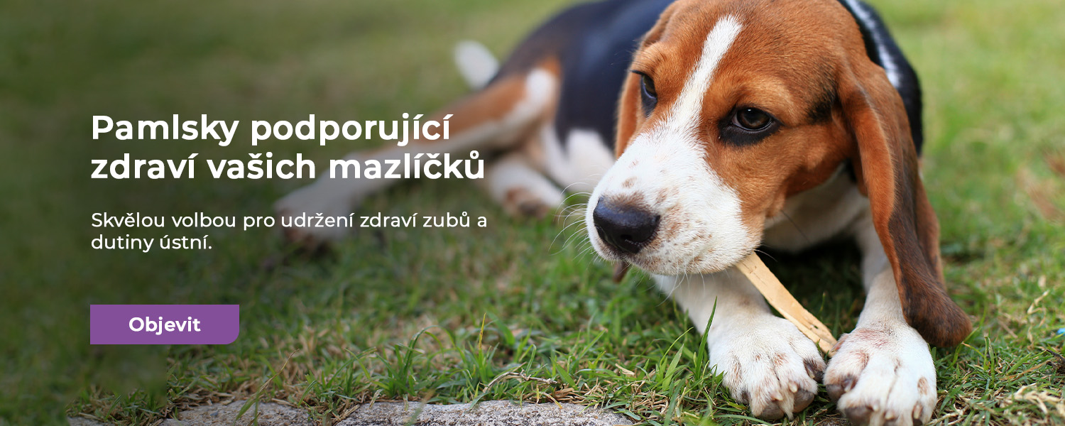 Pamlsky podporující zdraví vašich mazlíčků