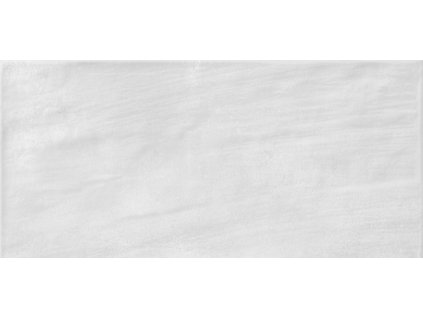 Mayolica Gris 20x50.jpg