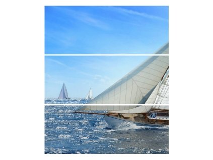 REGATTA A KOMPLET 3(20X50).jpg