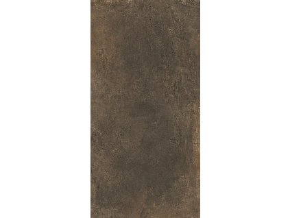 MAGNETIC Bronze 2.jpg