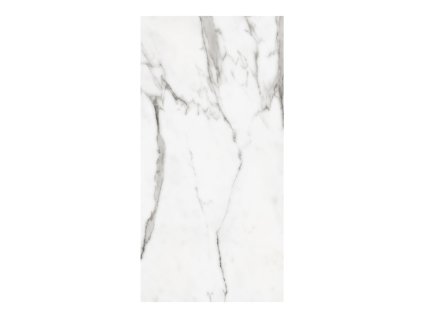 PK MARVEL 60X120 CALACATTA SILVER LAP_01.jpg