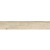 esp41rt.jpg