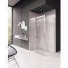 MSDPS 100x80 L, lesk+transparent