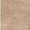 tortora 60x60_2.jpg