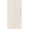 TRAVERTINE_IVORY_600x1200_V1.jpg