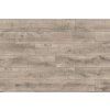 K463 weathered volcano oak
