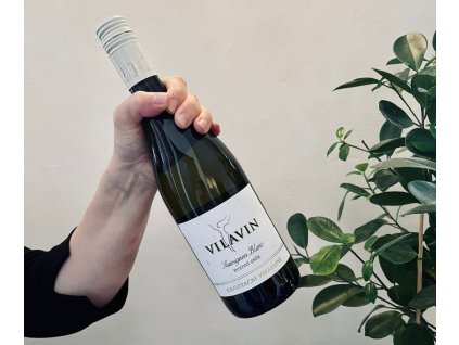 Sauvignon Blanc ps, Vilavin