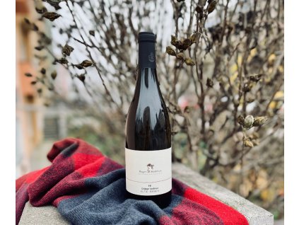 Gruner Veltliner Alte Reben, Hager, Rakousko