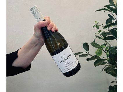 Pálava vzh, Vilavin