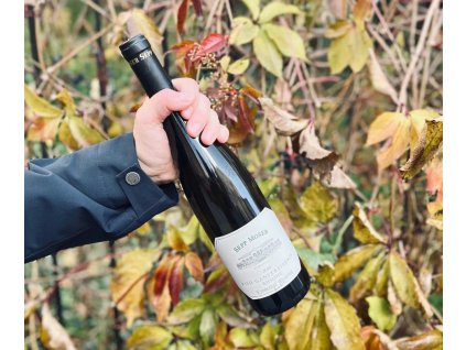 Riesling Ganstreiberin Reserve, Sepp Moser, Rakousko