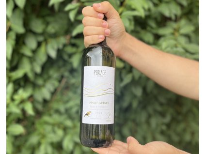 Pinot Grigio, Perlage winery, Itálie