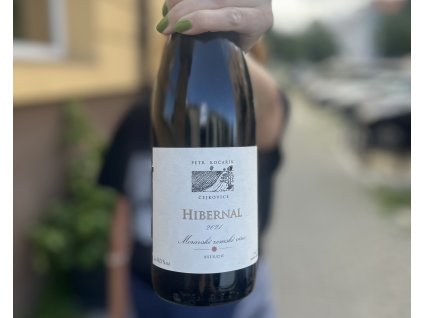 Hibernal, Petr Kočařík, Čejkovice