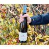 Riesling Terrassen, Hager, Rakousko