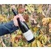 Riesling Ganstreiberin Reserve, Sepp Moser, Rakousko