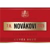 Konečně jste do toho sekli . Šampaňské PIPER-HEIDSIECK se šavlí