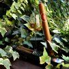 Grappa Sibona ve tvaru doutníku "cigar" . 40% 0,04L