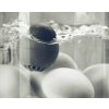 beep egg timer