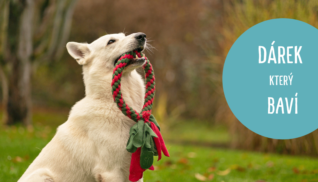 Přetahovadla pro psy