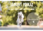 DÁRKOVÉ POUKAZY