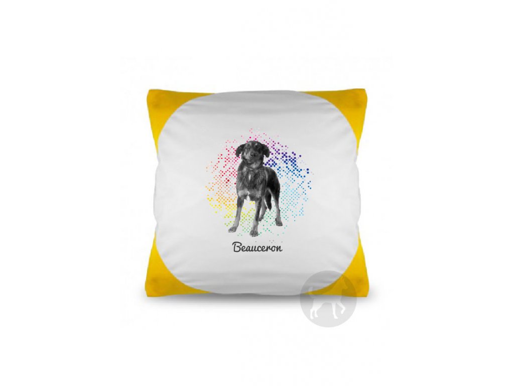 Beauceron points (Barva Červená)