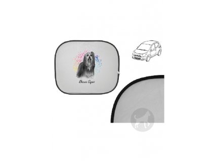 Lhasa apso points