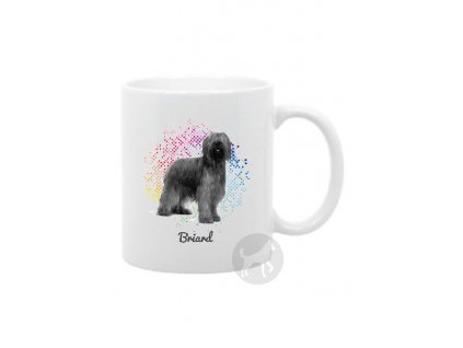 Briard points