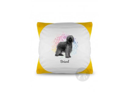 Briard points (Barva Červená)