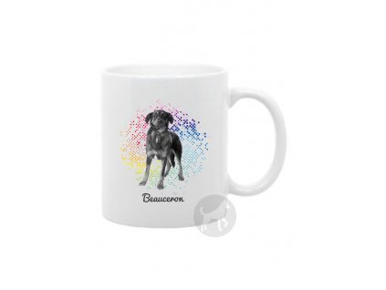 Beauceron points