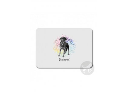 Beauceron points
