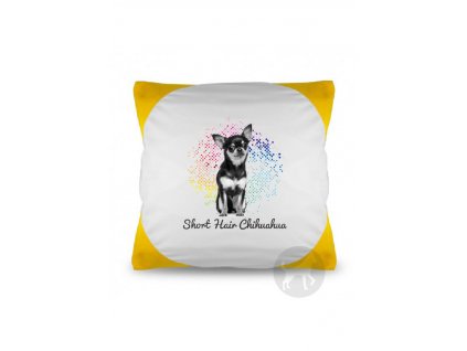 Čivava krátkosrstá points (Barva Červená)