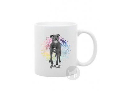 Americký pitbull teriér points