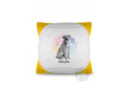 Labradorský retriever points (Barva Červená)
