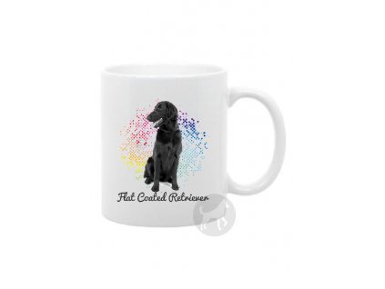 Flat Coated retriever points