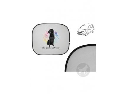 Flat Coated retriever points