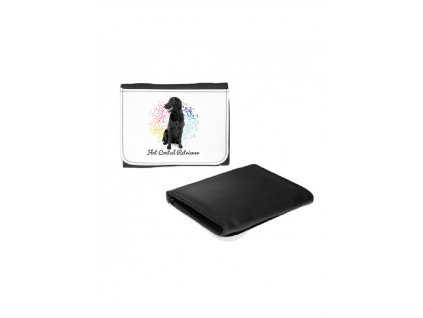 Flat Coated retriever points
