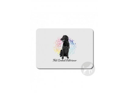 Flat Coated retriever points