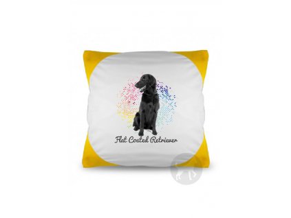 Flat Coated retriever points (Barva Červená)