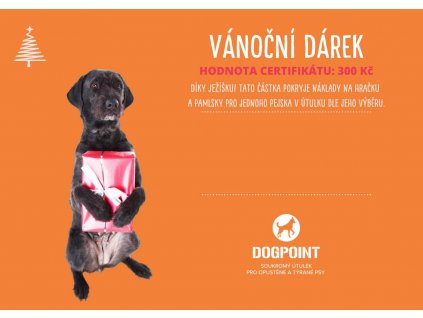 12561 vanocni darek