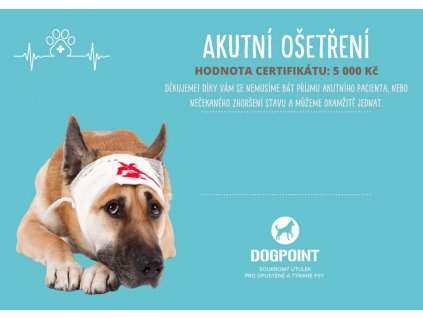 Na nezbytné opravy
